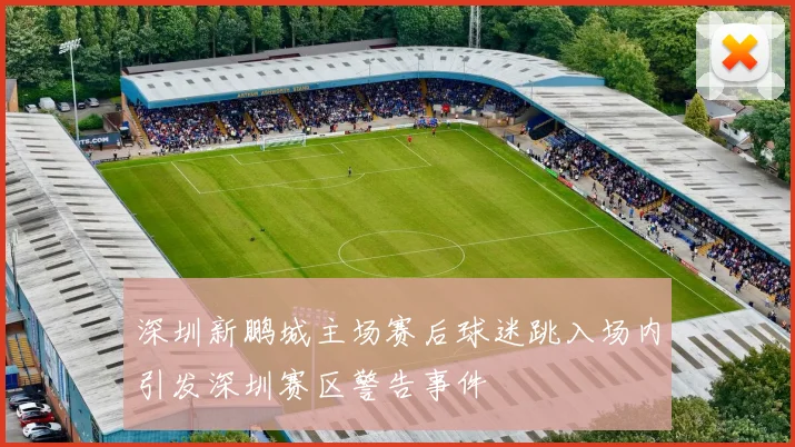 深圳新鹏城主场赛后球迷跳入场内引发深圳赛区警告事件