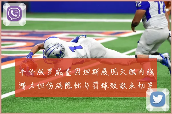 平价版罗威奎因坦斯展现天赋内线潜力但伤病隐忧与罚球致敬米切罗