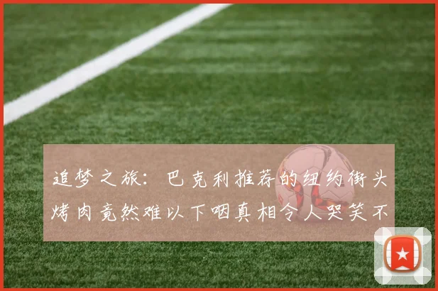 追梦之旅：巴克利推荐的纽约街头烤肉竟然难以下咽真相令人哭笑不得
